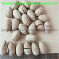 Best Quality and New Crop Almonds in Shell